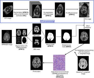 Quantitative Ex Vivo MRI Changes due to Progressive Formalin Fixation in Whole Human Brain Specimens: Longitudinal Characterization of Diffusion, Relaxometry, and Myelin Water Fraction Measurements at 3T